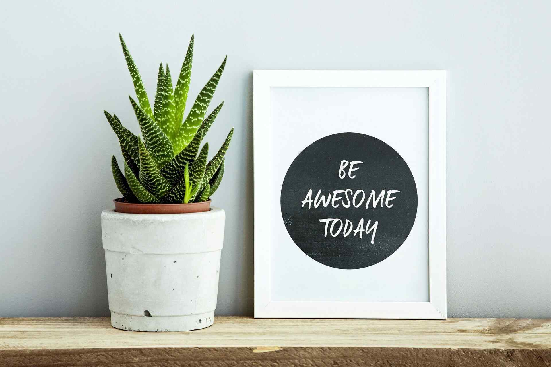 portfolio_img_13 https://liteguys.com/wp-content/uploads/2017/04/portfolio_img_13.jpg