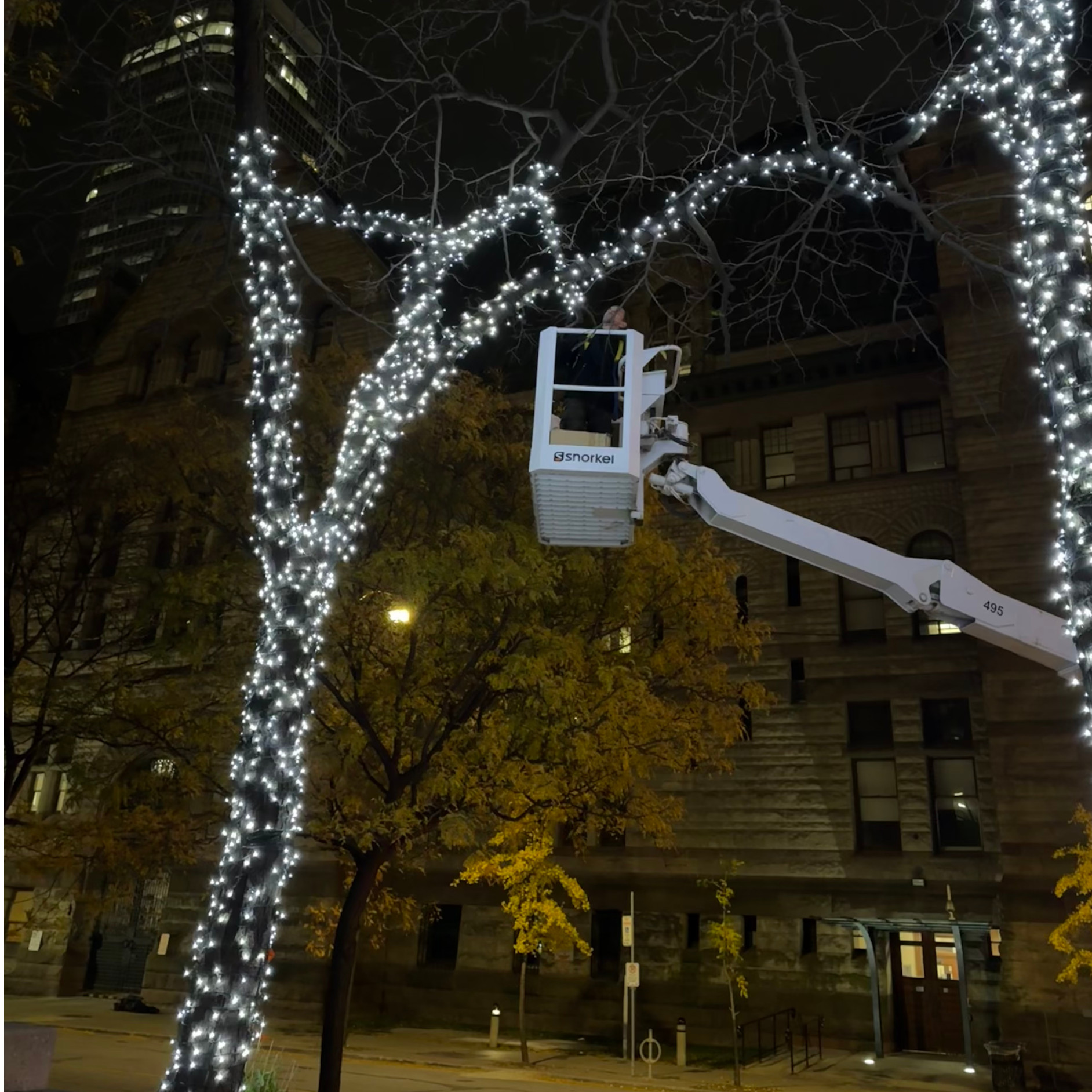 https://liteguys.com/wp-content/uploads/2025/08/tree.jpeg