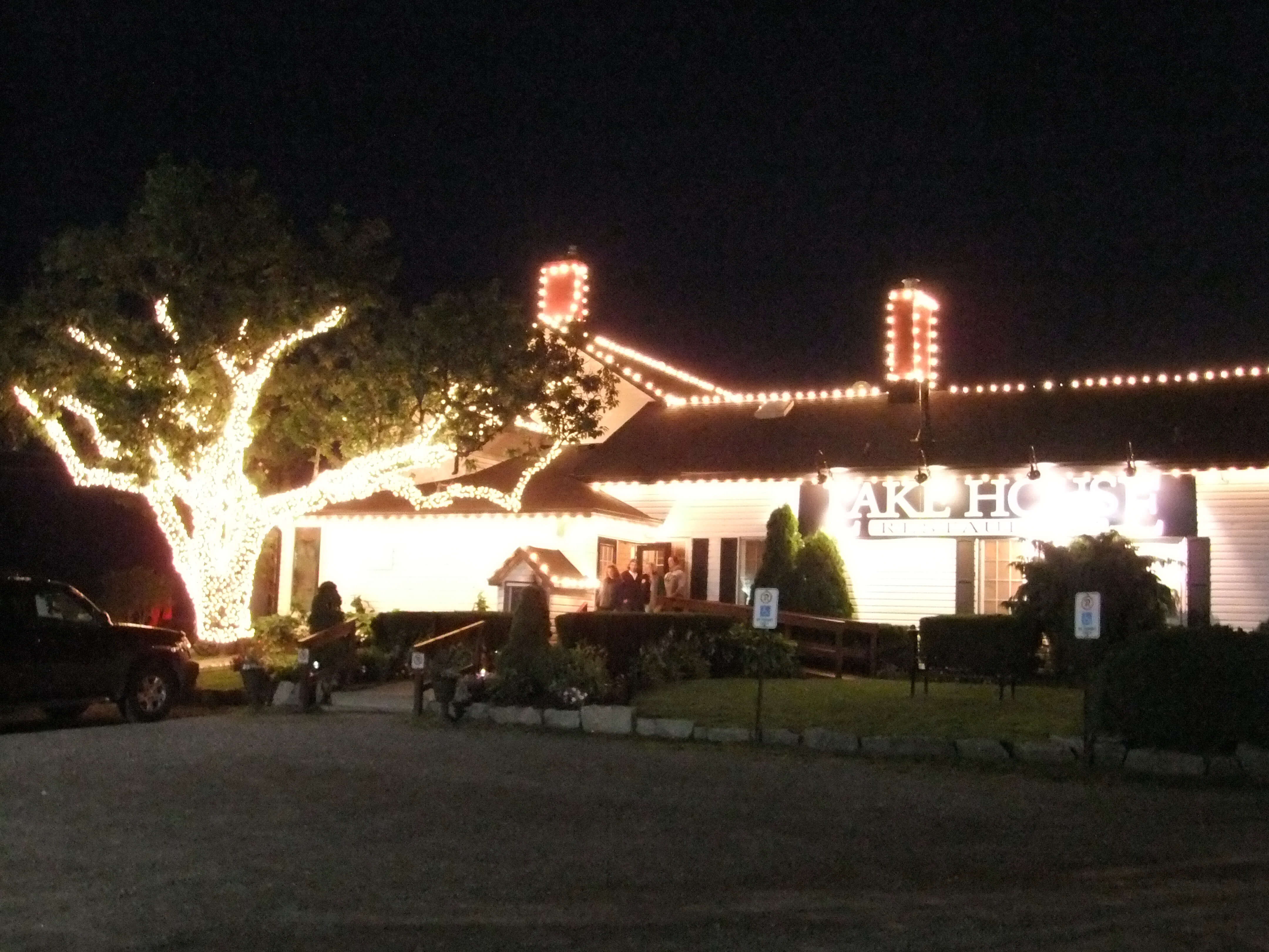 2010 Lakehouse pic tree