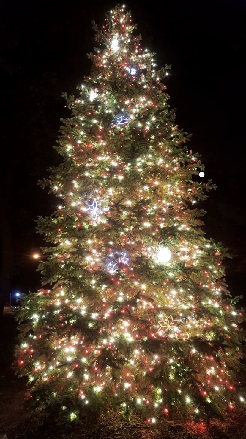 7da0f5365aa1689313aecae432cf1366