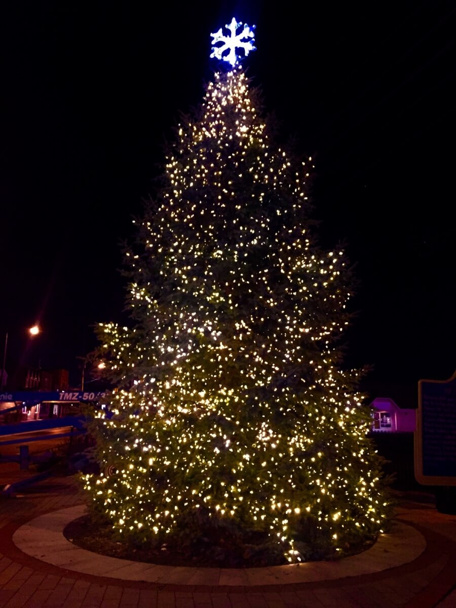 pickering village BIA TREE LIGHTING 2015 copy